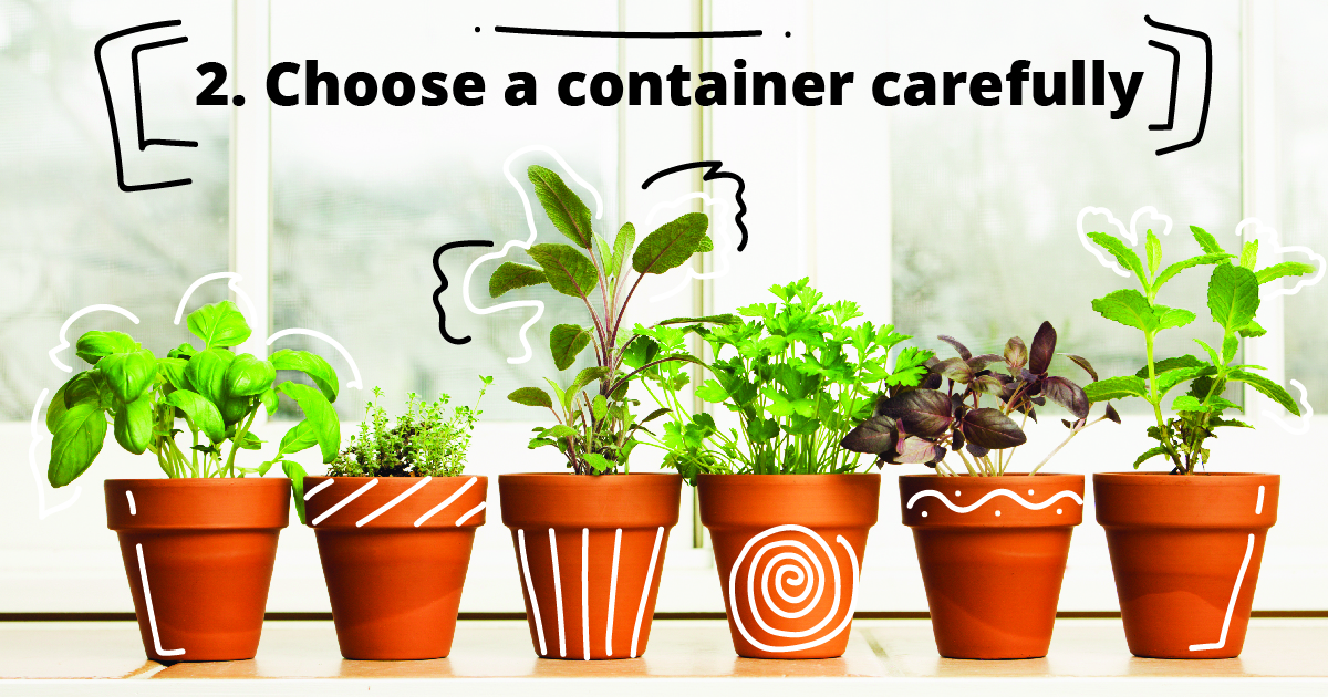 2. Choose a container carefully.